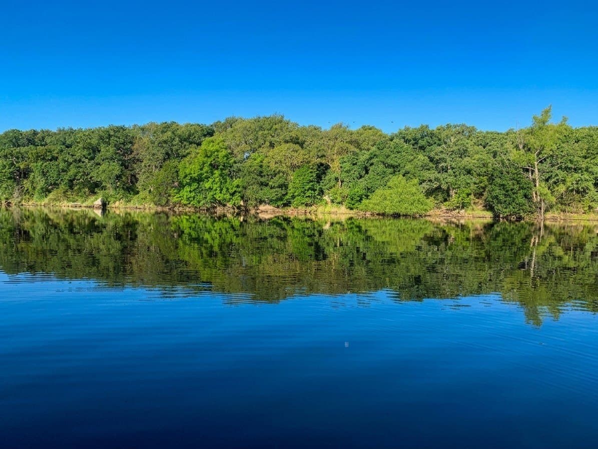 53.2 acres in Palo Pinto County