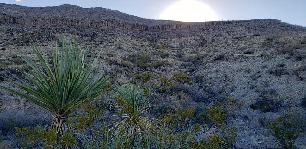 20 acres in Brewster County