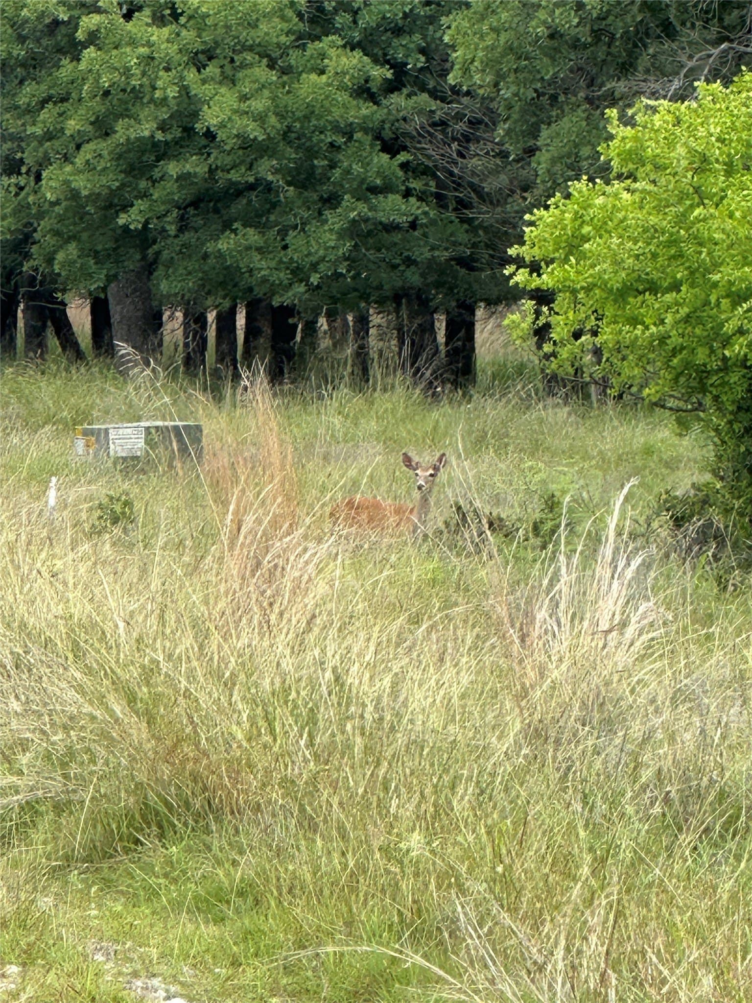 1.34 acres in Wise County