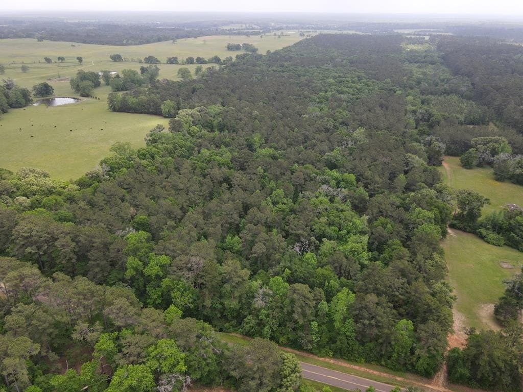 161.49 acres in Texas County