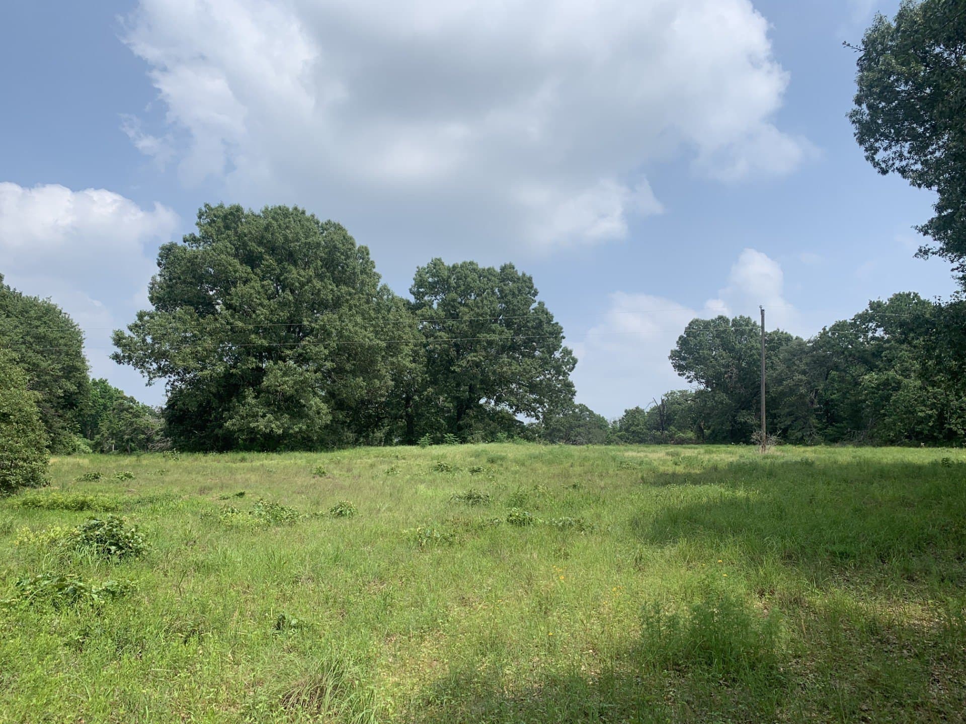 11.32 acres in Freestone County