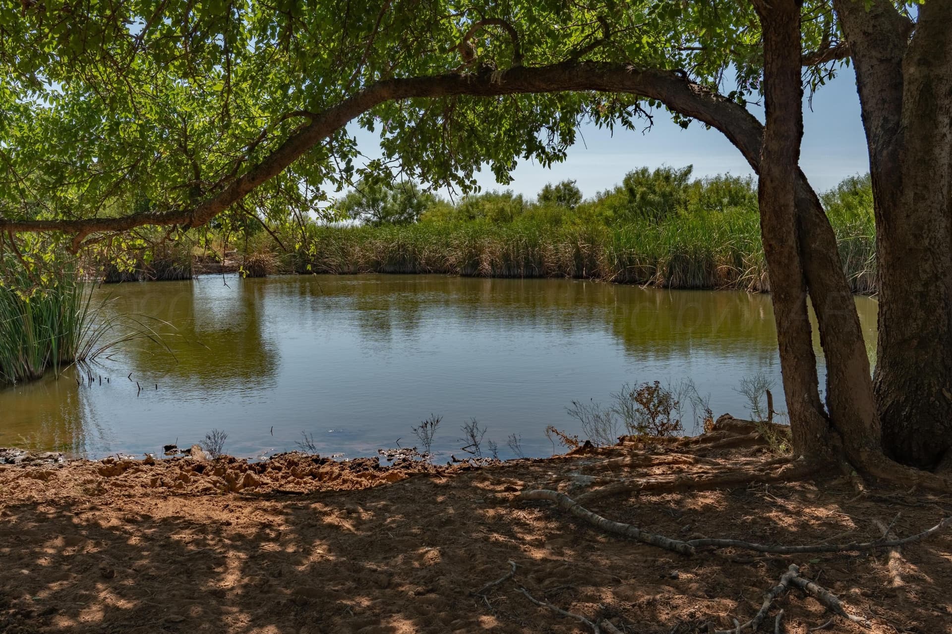 505 acres in Childress County