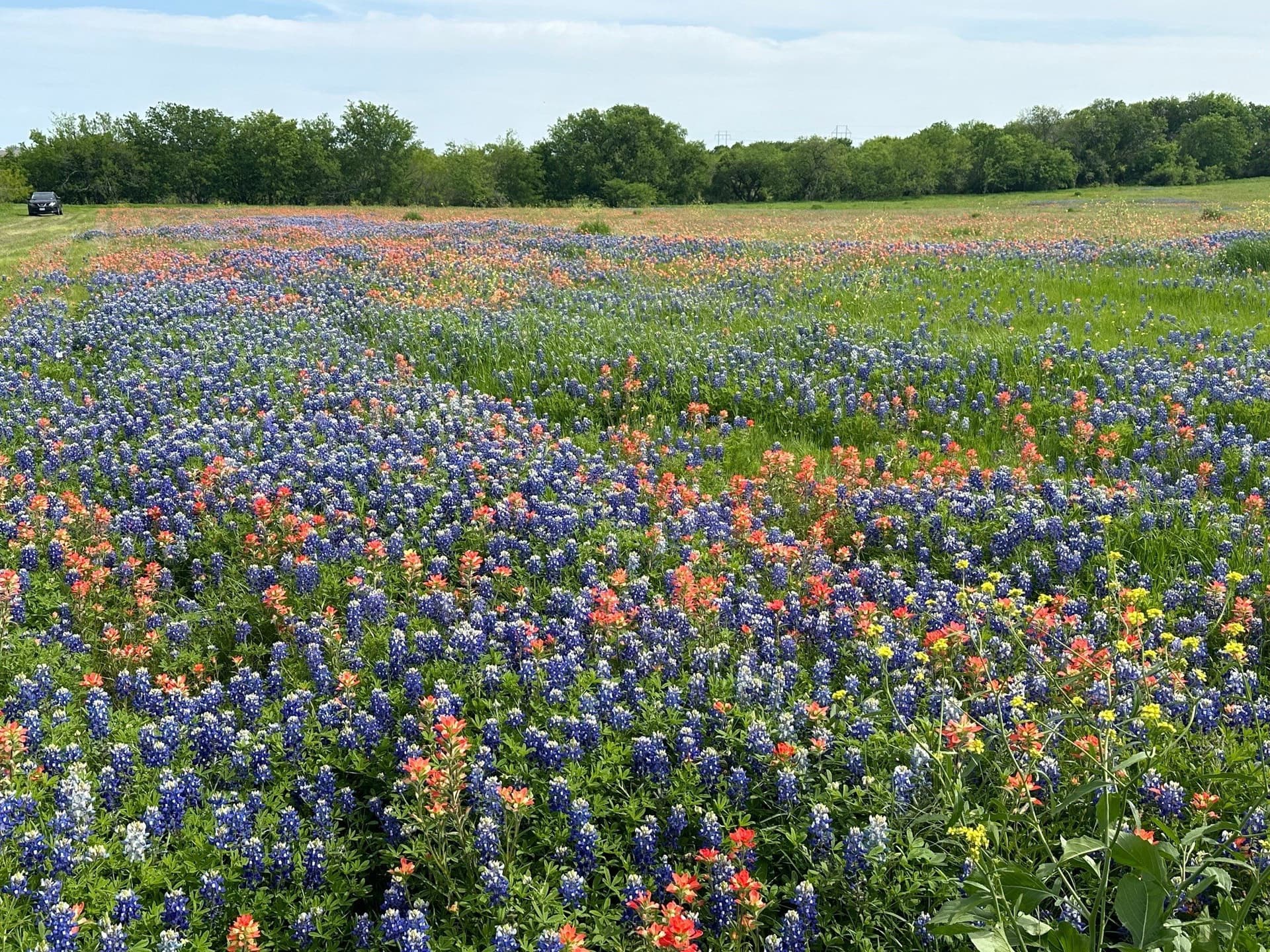 5.61 acres in Ellis County
