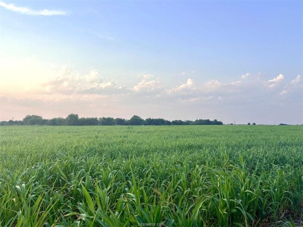 11.88 acres in Milam County