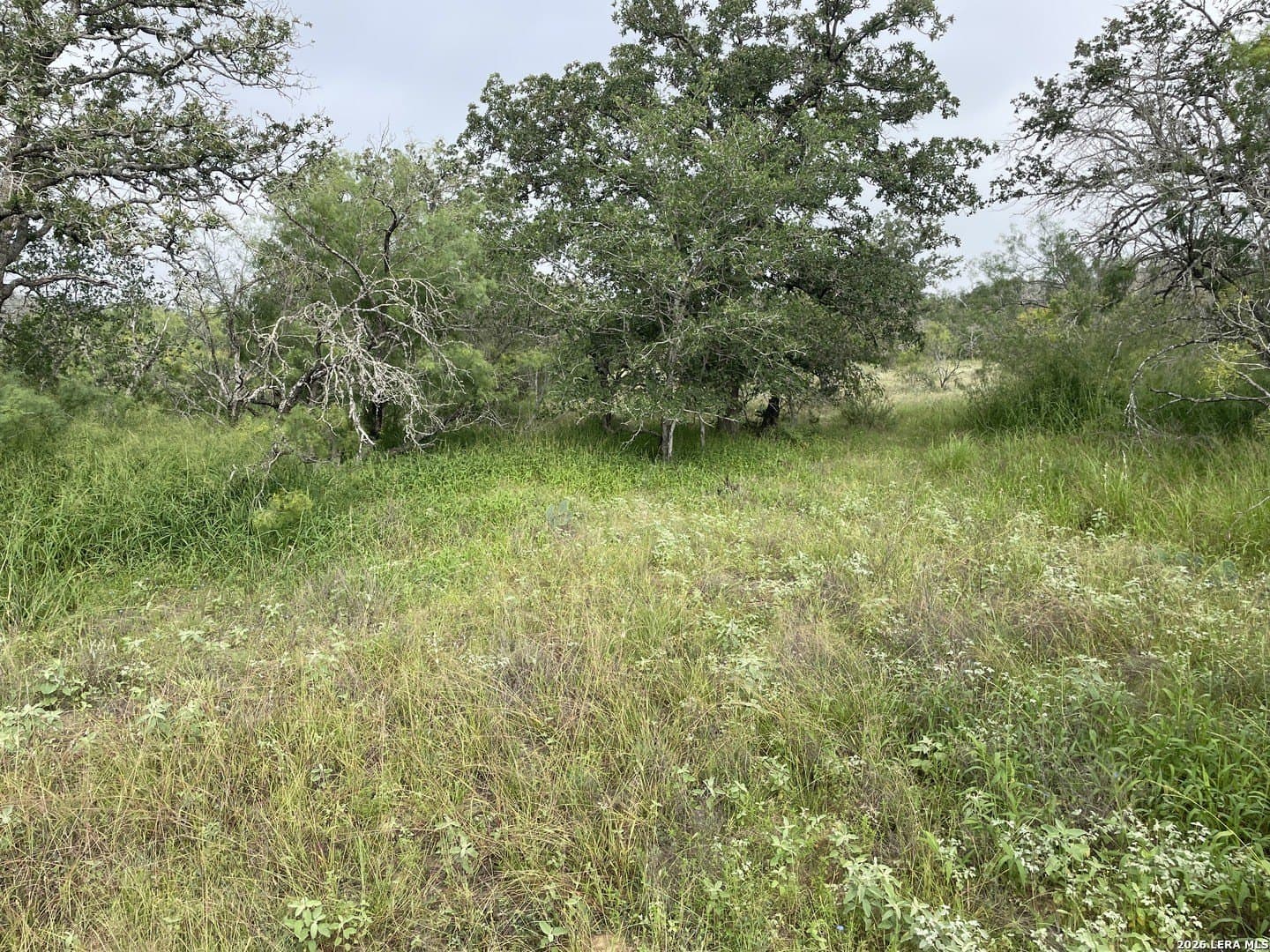 12.31 acres in Medina County