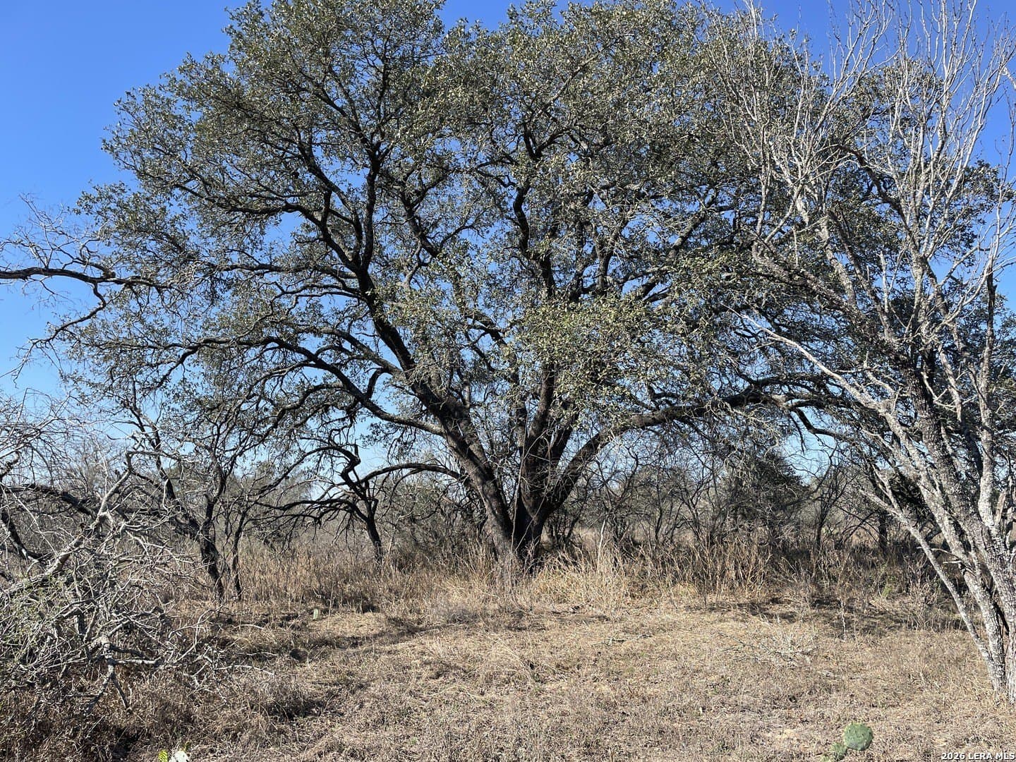 12.31 acres in Medina County
