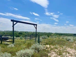 15 acres in Jim Wells County
