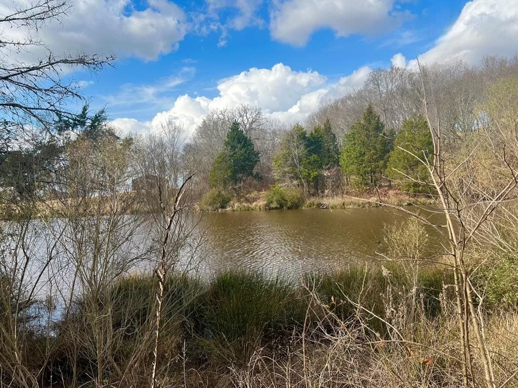 2.01 acres in Henderson County