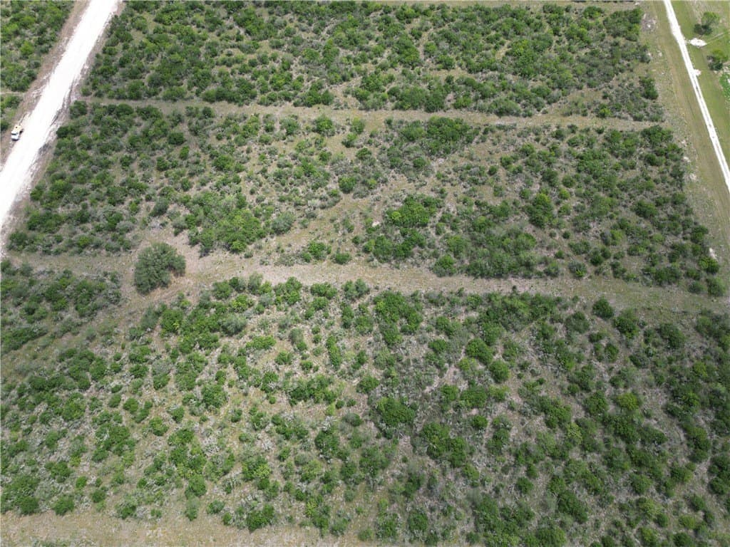3.97 acres in Bee County