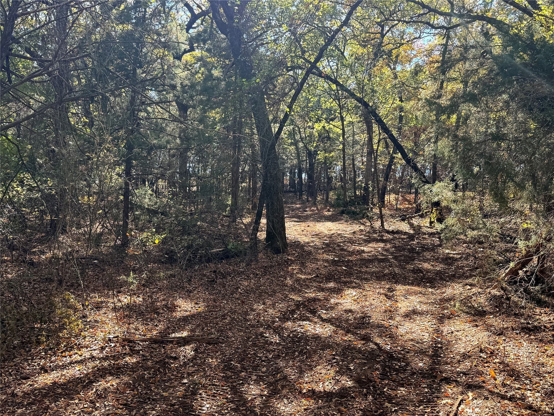 11.05 acres in Cooke County