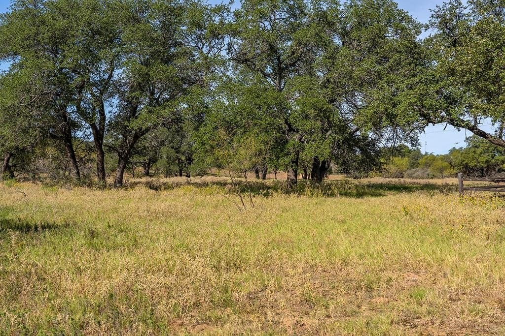 20 acres in Mason County