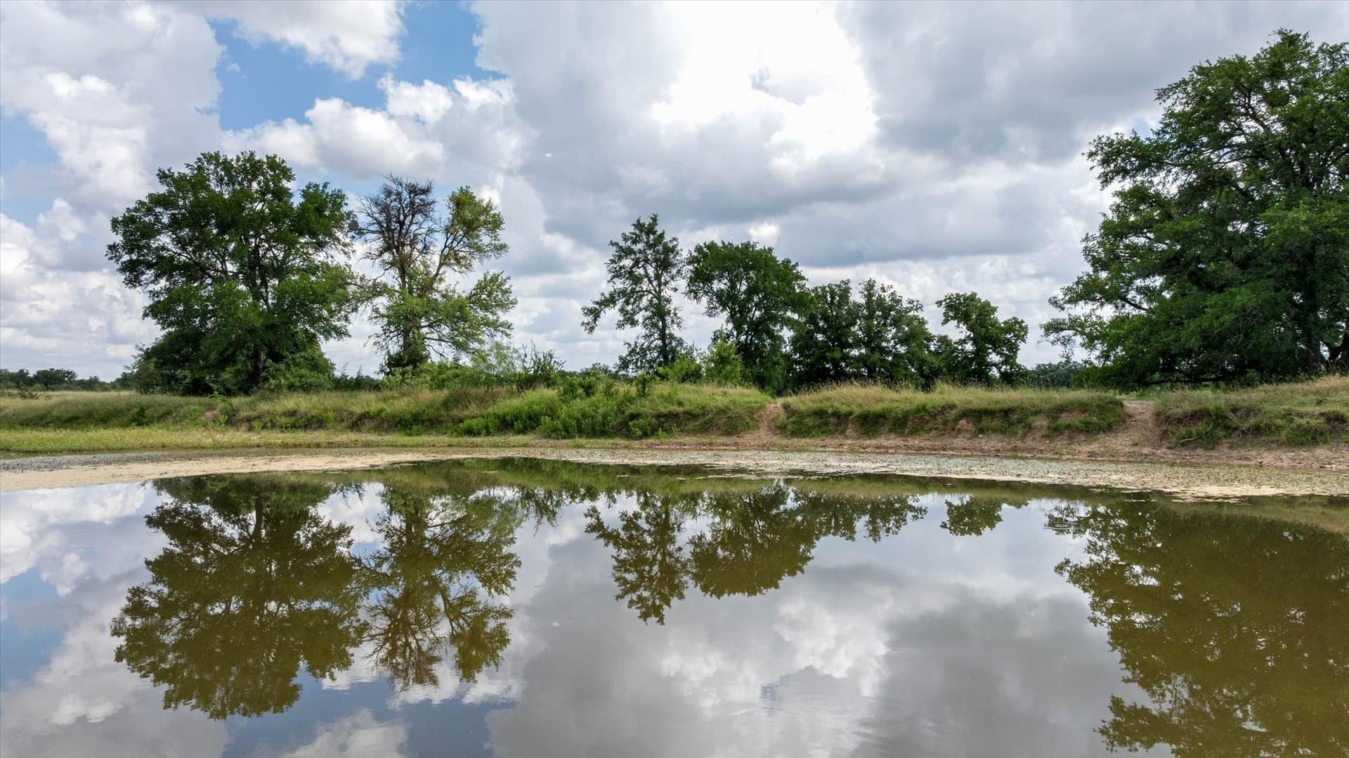 492.93 acres in Bosque County