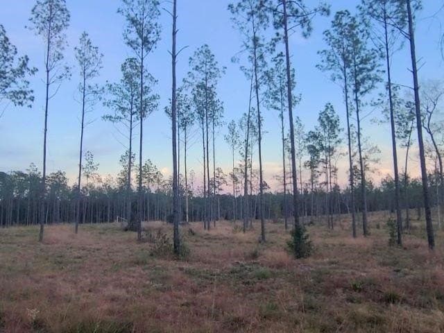 1 acres in Texas County