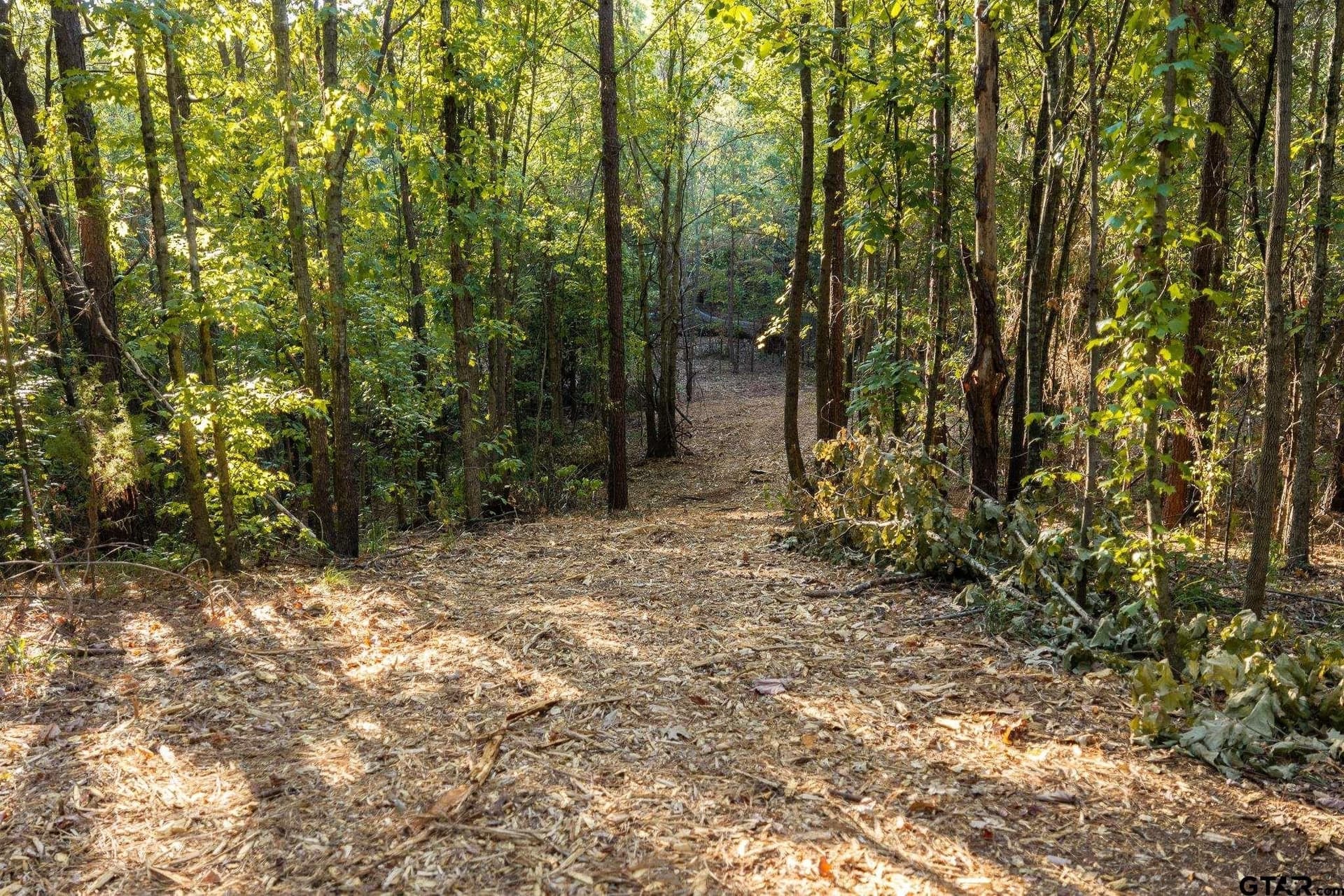 141.79 acres in Smith County