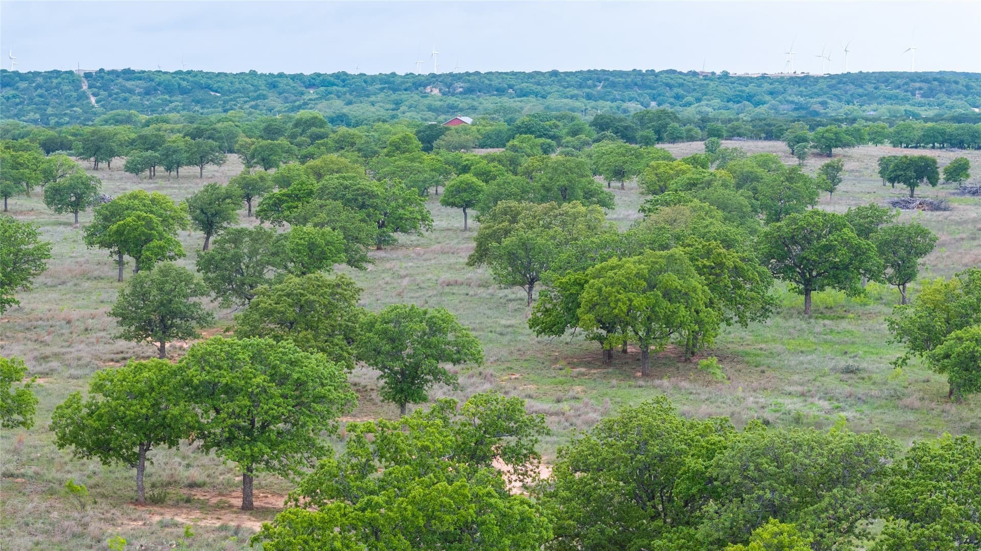 403 acres in Taylor County