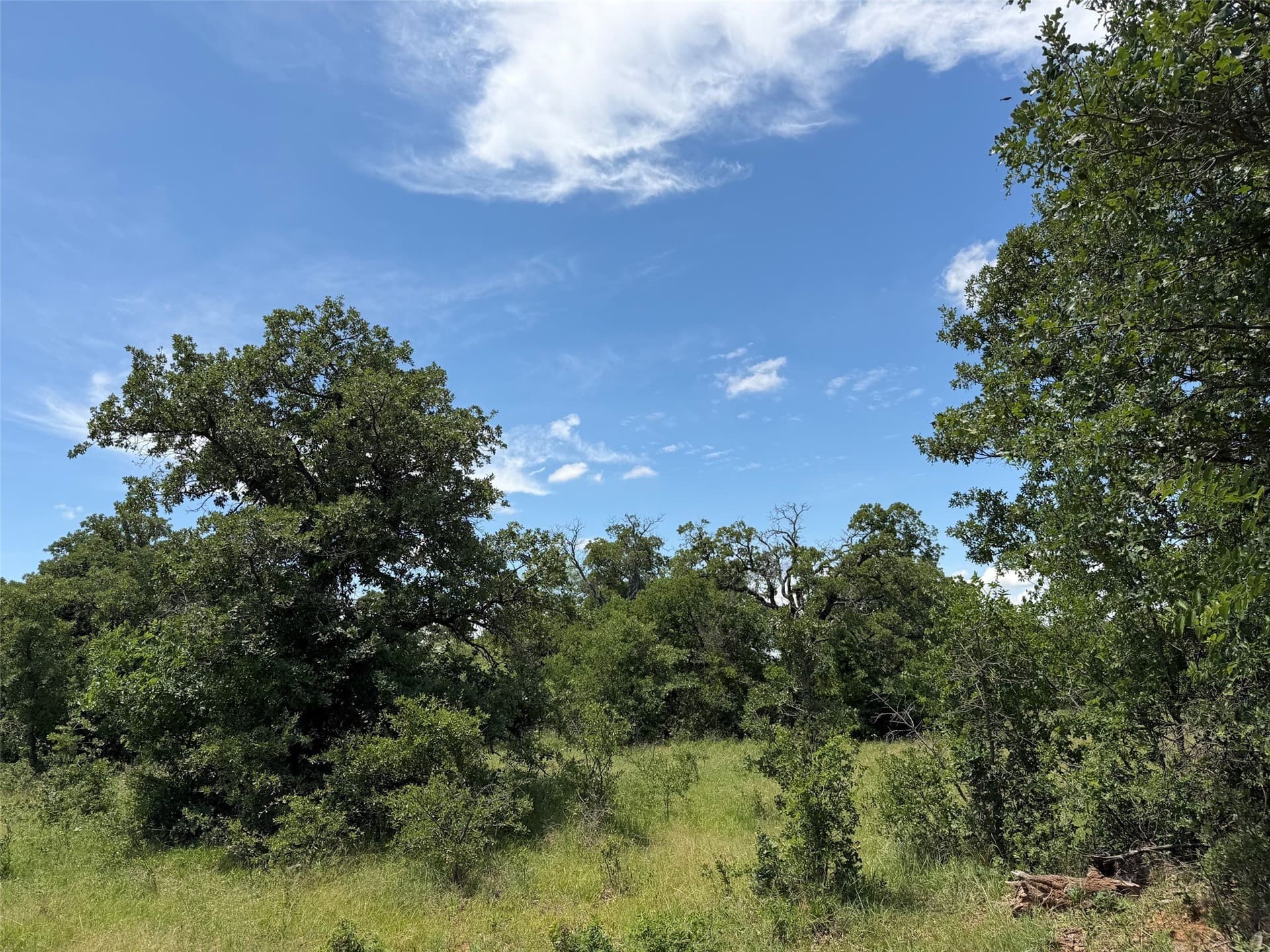 79.79 acres in Young County