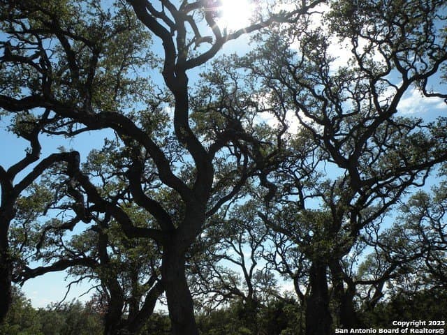 1.02 acres in Comal County