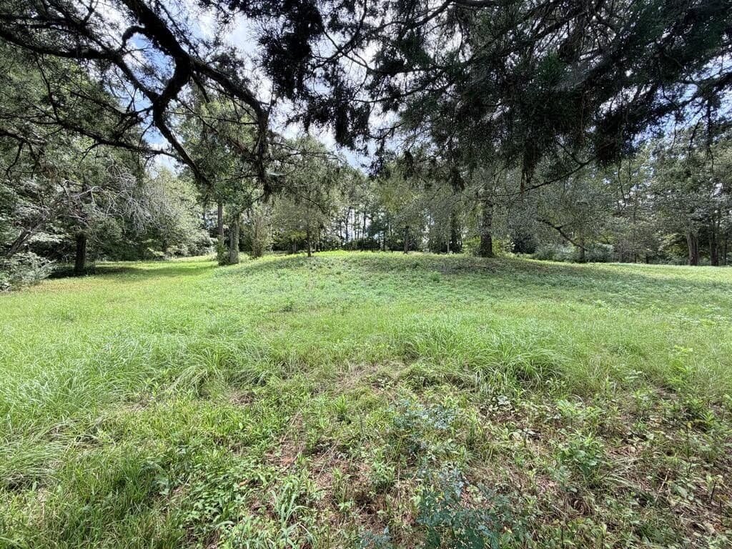 1.99 acres in Texas County