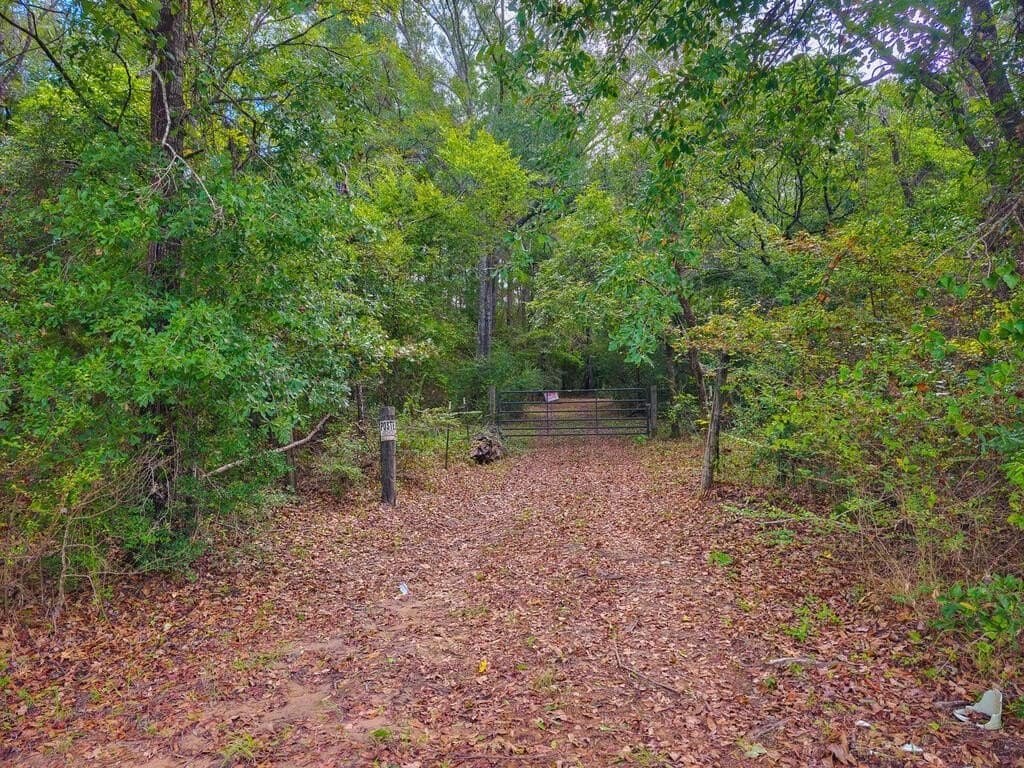 25 acres in Texas County
