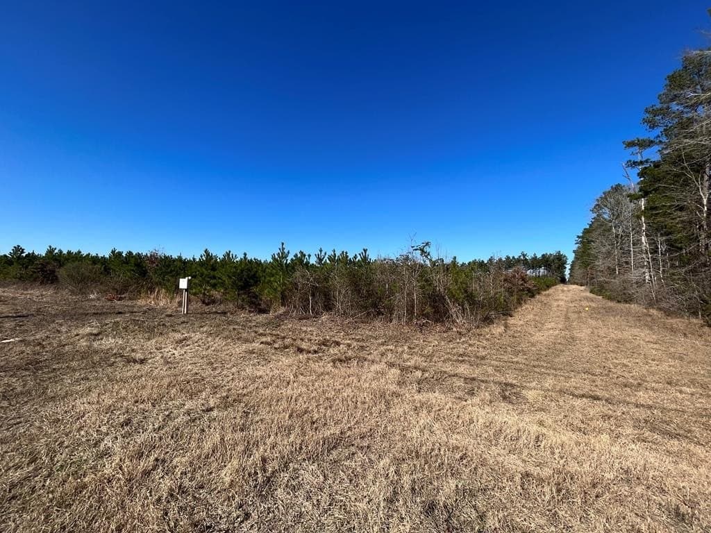11.32 acres in Texas County