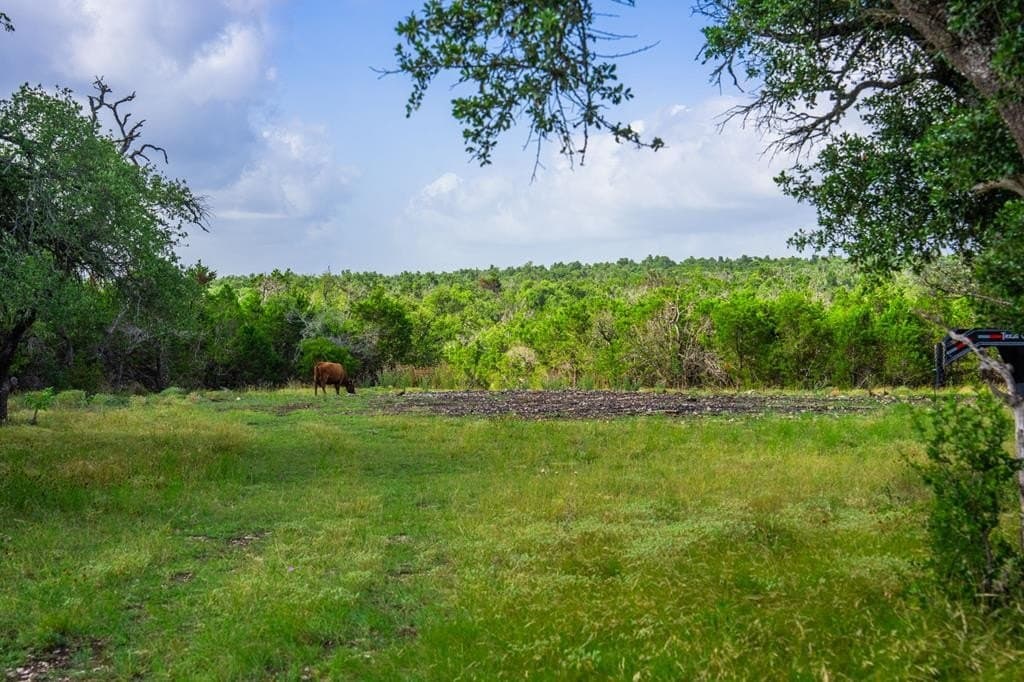 17.5 acres in Gillespie County