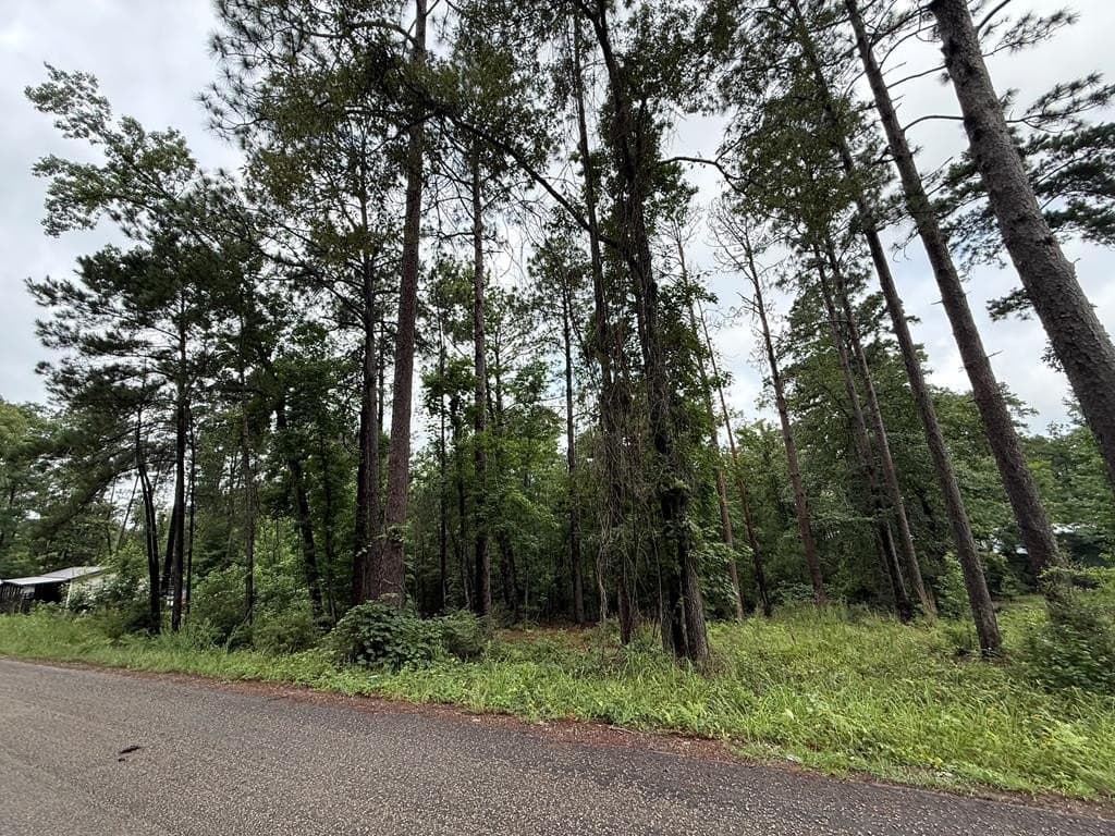 0.15 acres in Texas County