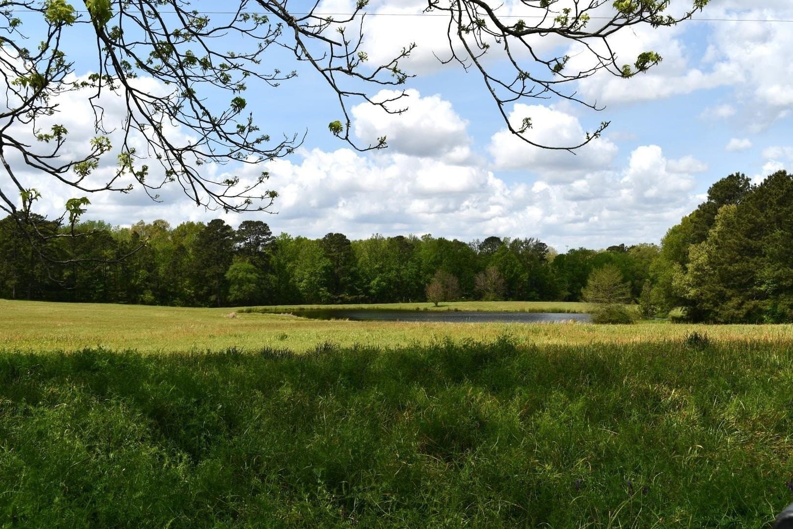 18.62 acres in Harrison County