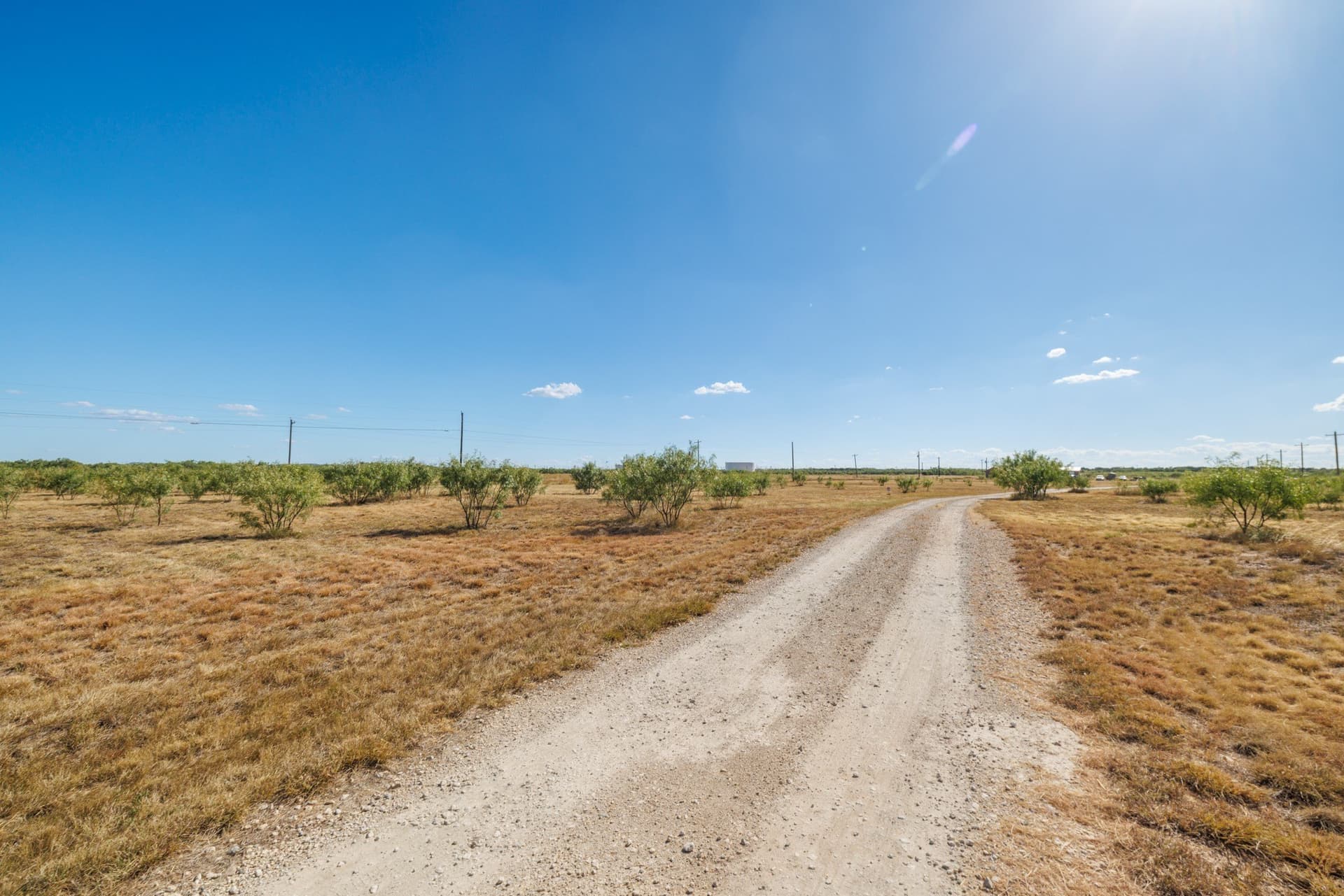 12.64 acres in Taylor County