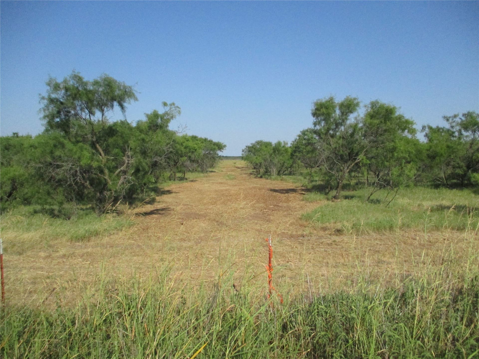 15 acres in Clay County