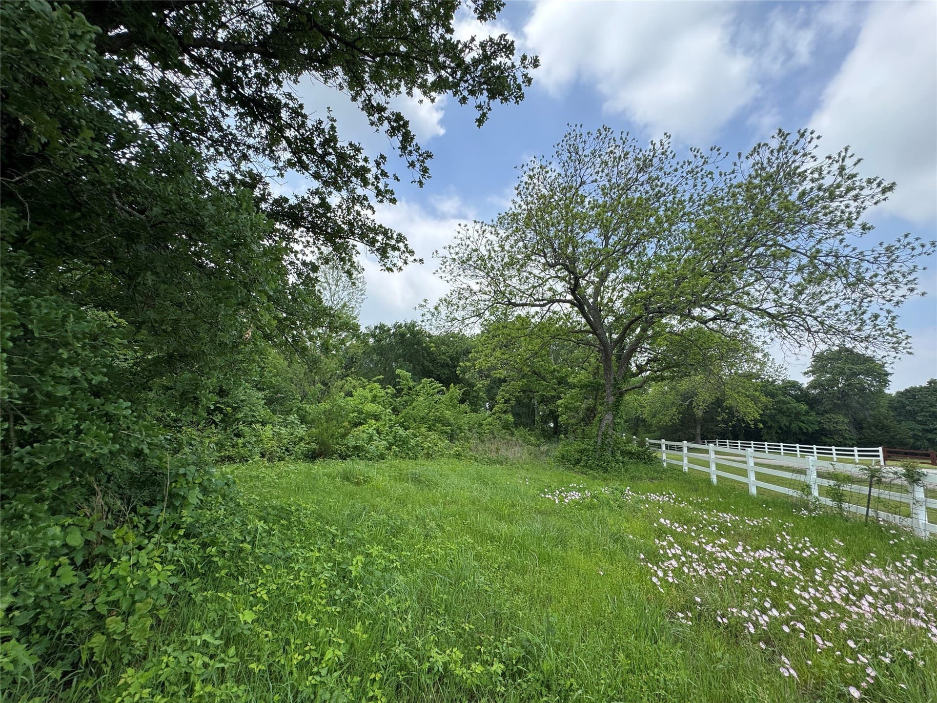 4.99 acres in Cooke County