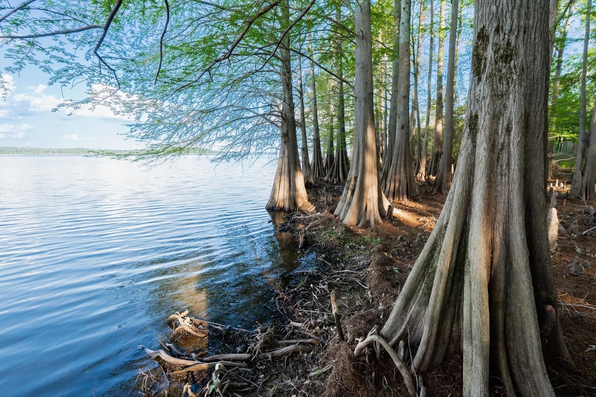 19.66 acres in Marion County