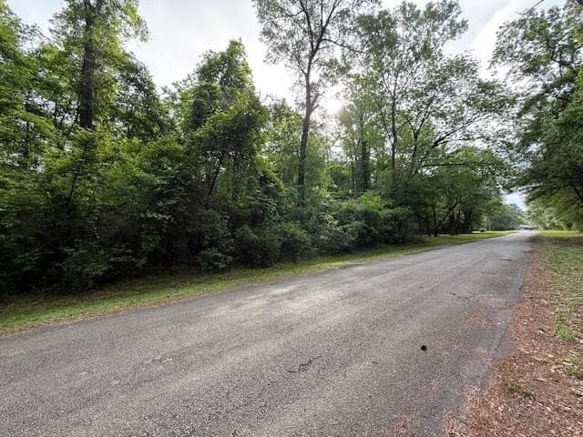 0.3 acres in Texas County