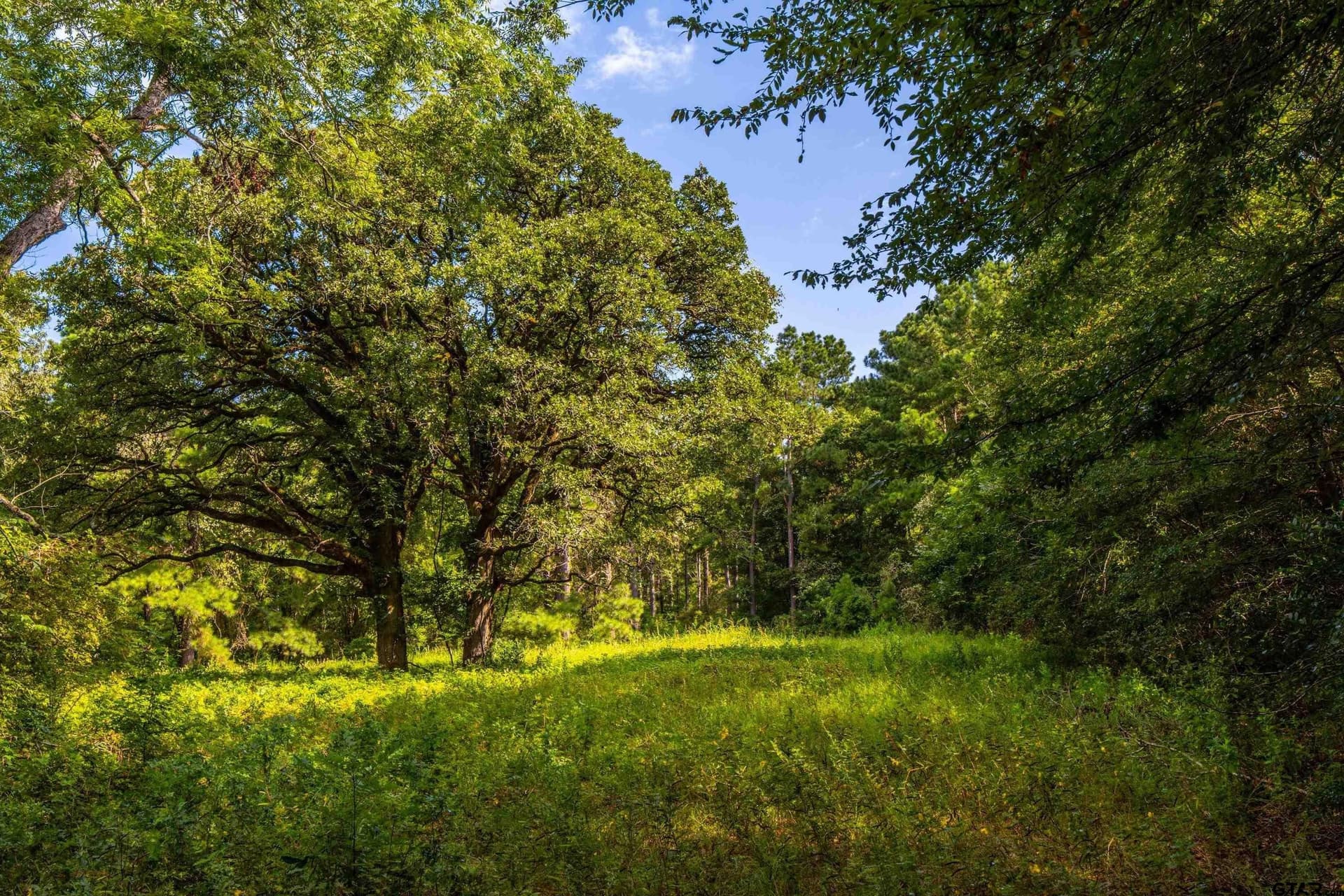 56 acres in Henderson County