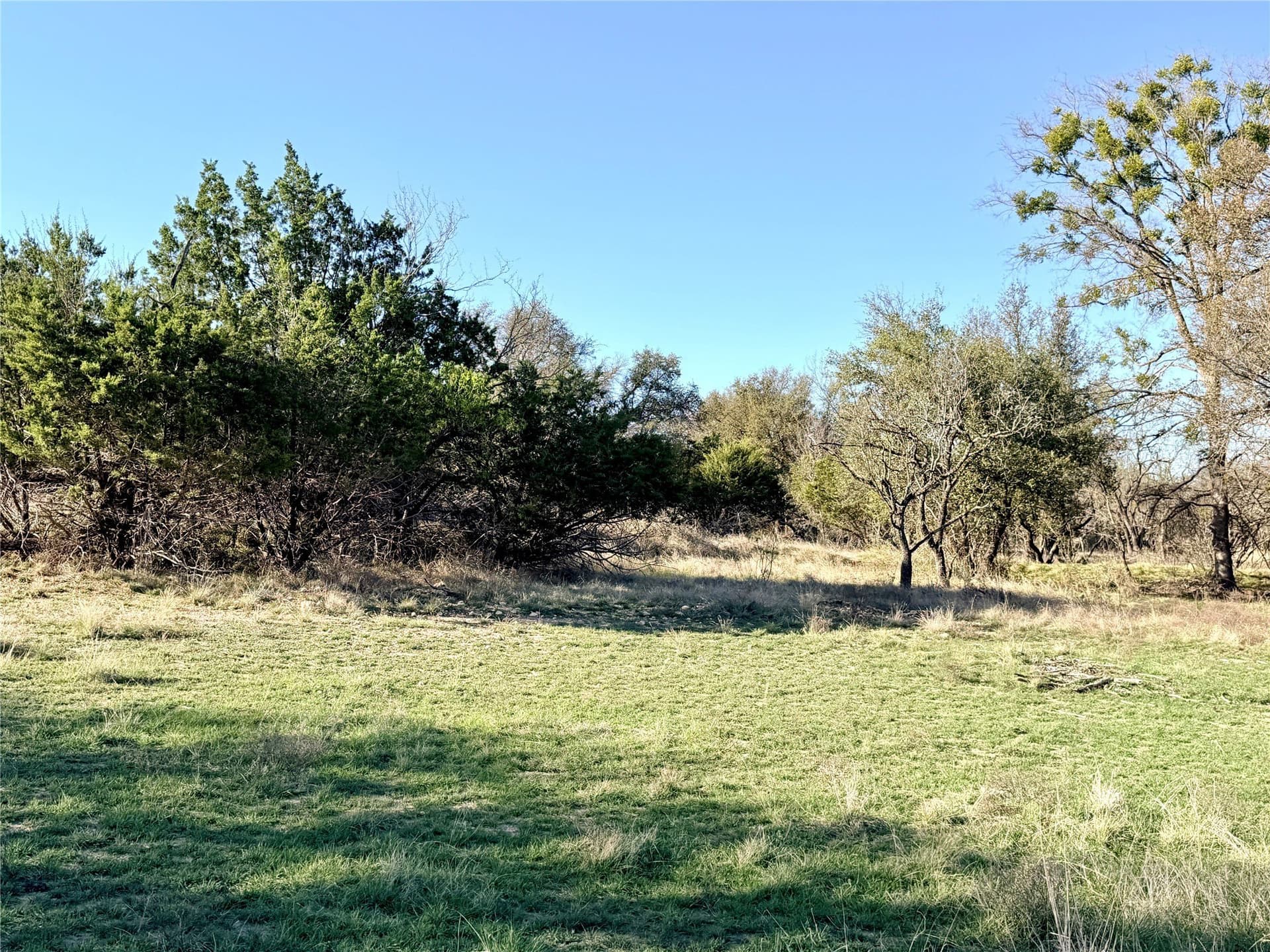 33.25 acres in Mills County