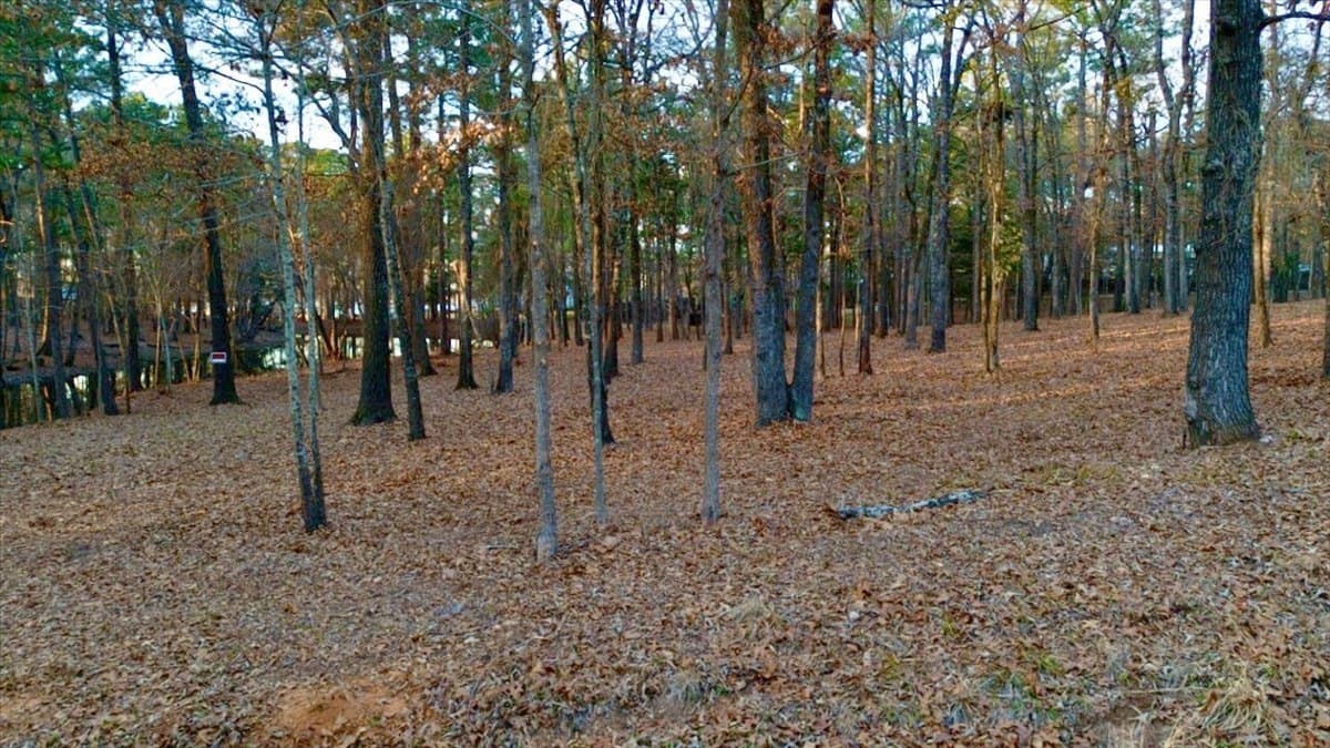 0.88 acres in Smith County