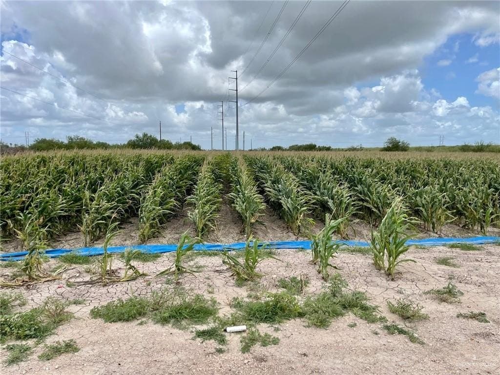 5.5 acres in Hidalgo County