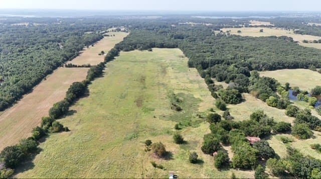 68.3 acres in Fannin County