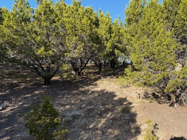 2.02 acres in Palo Pinto County