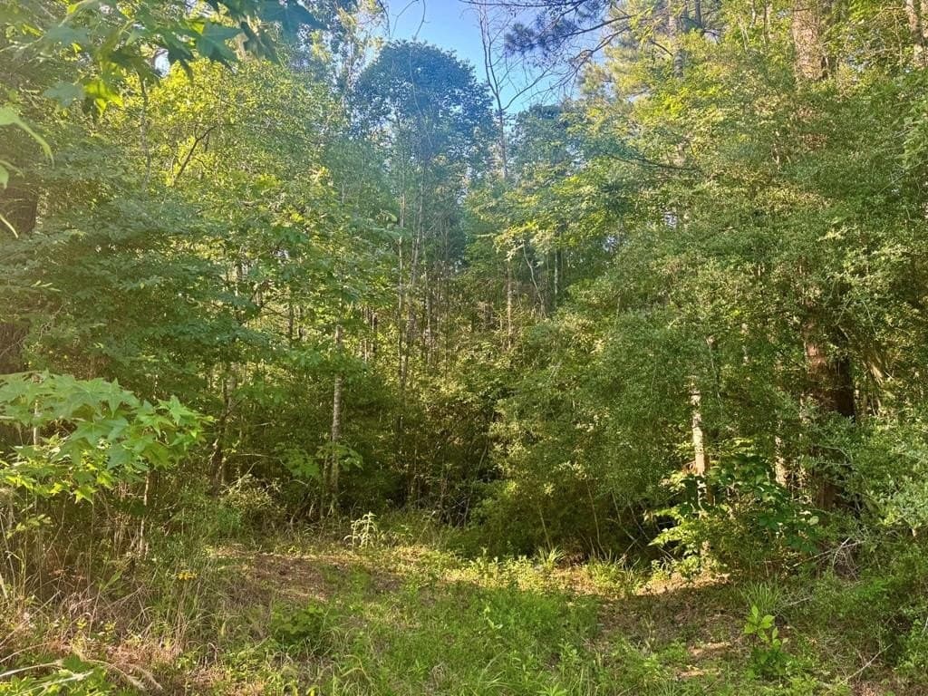 5.08 acres in Texas County