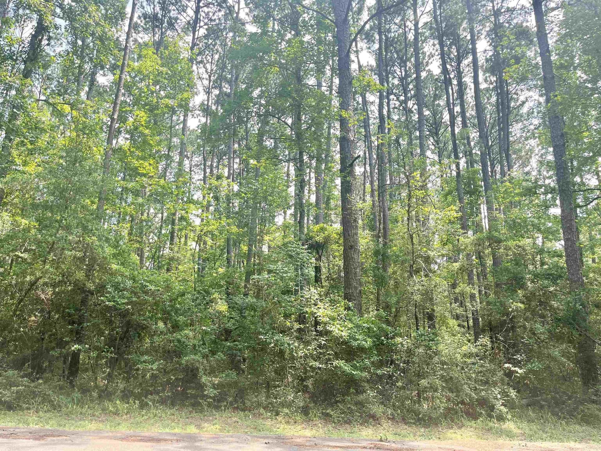 0.27 acres in Texas County