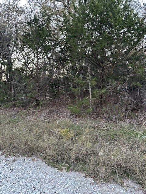 0.17 acres in Montague County