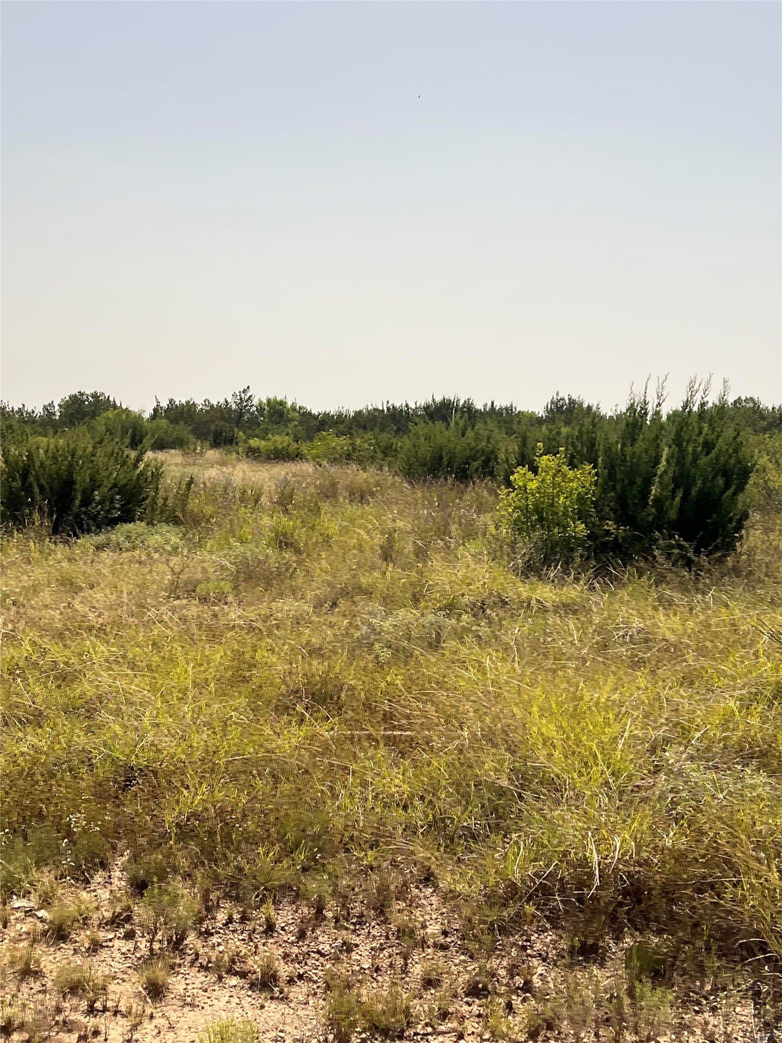 31.21 acres in Concho County