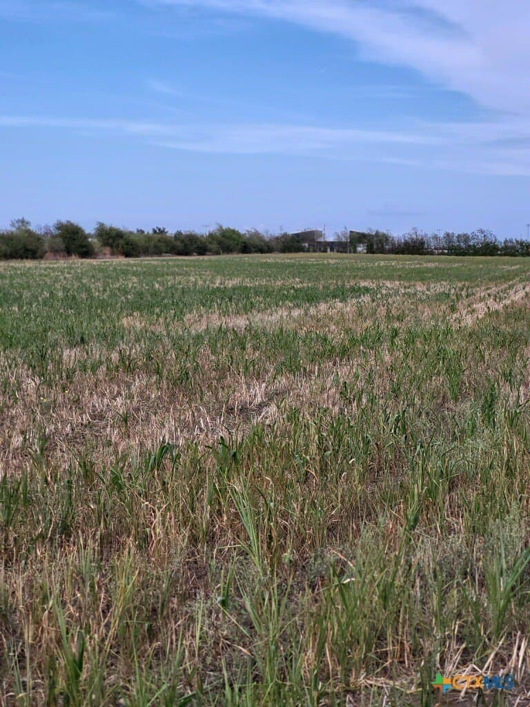 138 acres in Williamson County