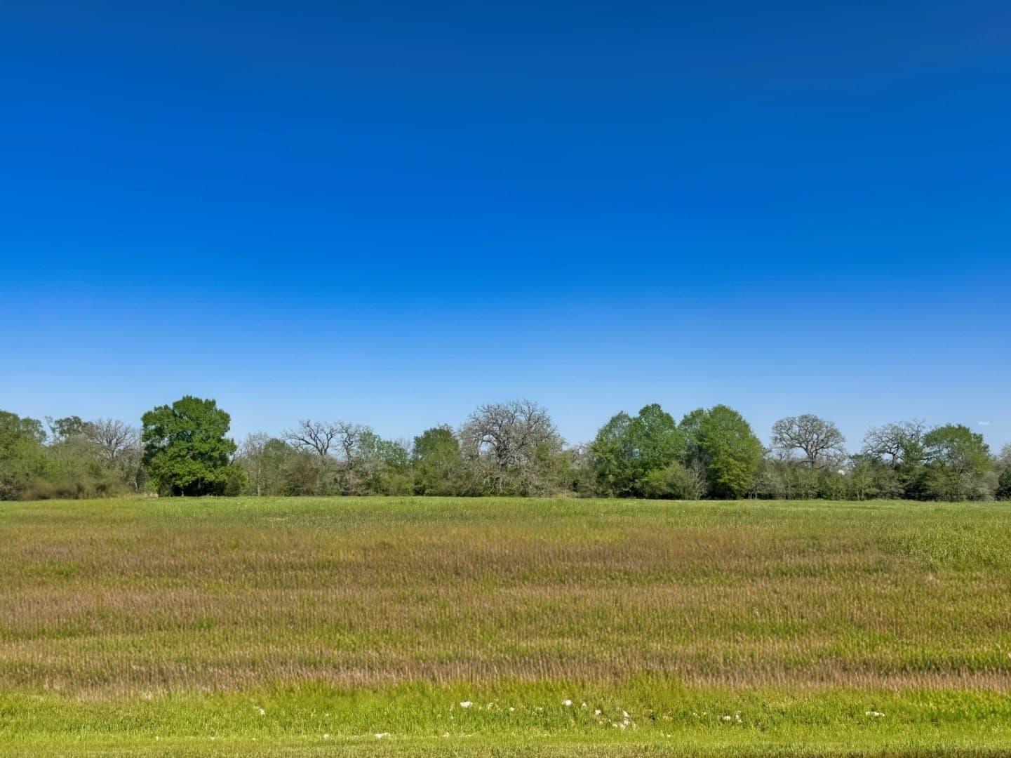 1.11 acres in Grimes County
