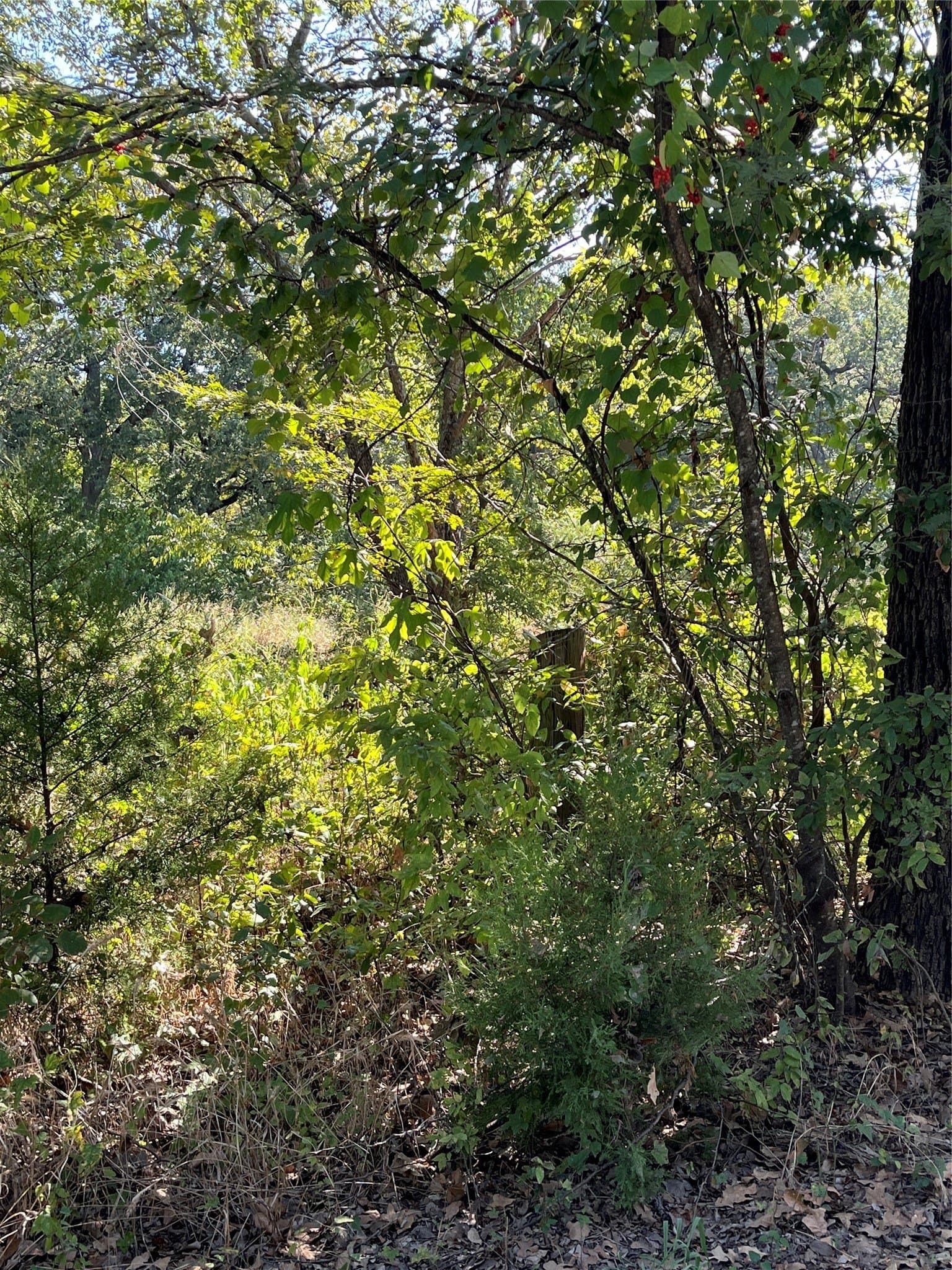 0.11 acres in Hunt County