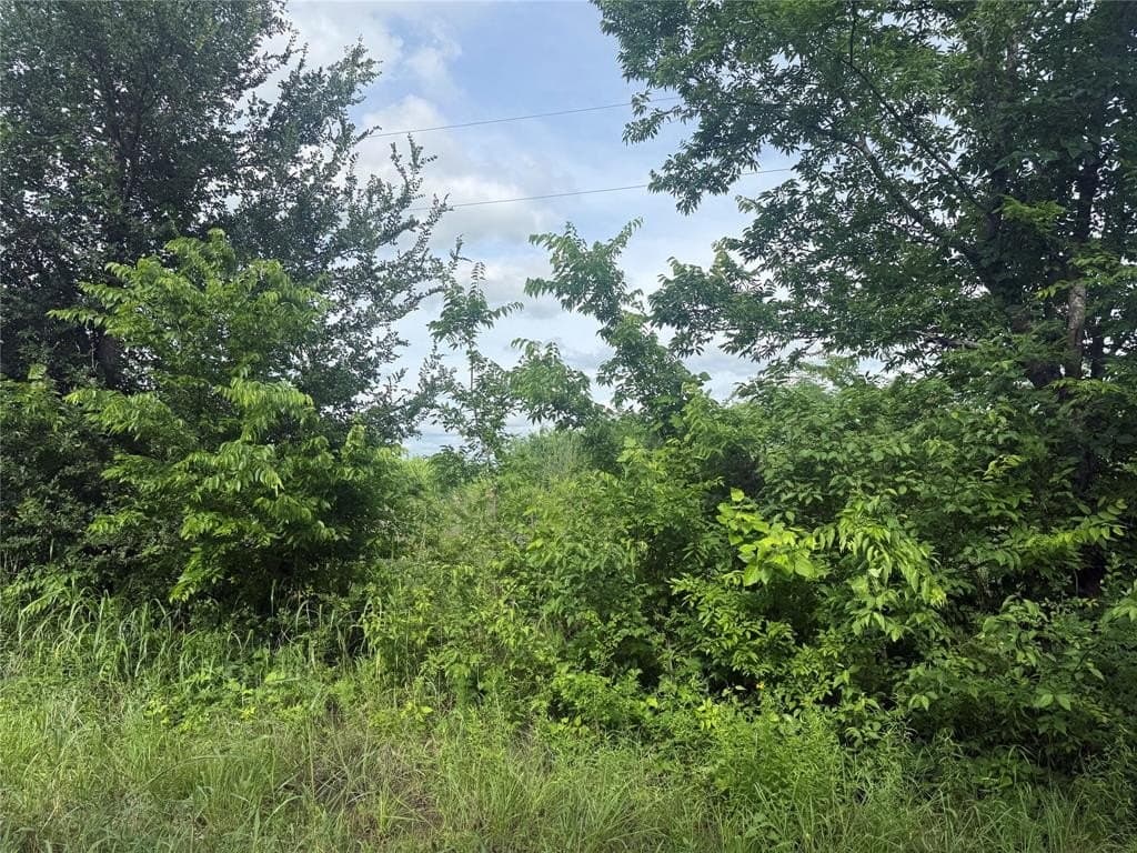 41.58 acres in Lamar County