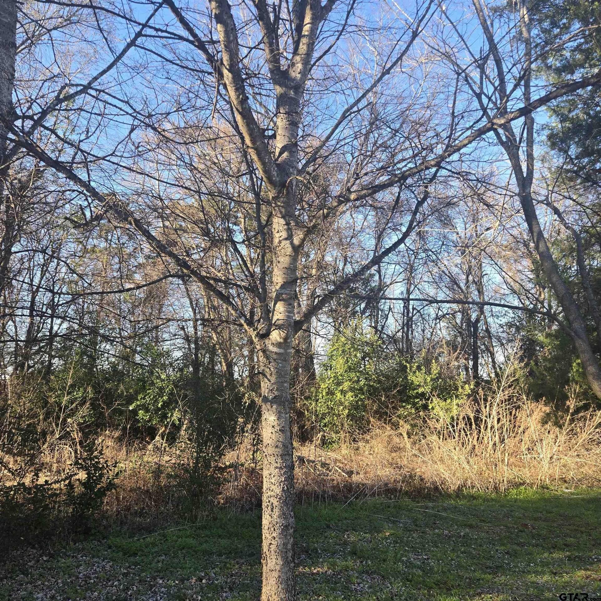 1 acres in Smith County