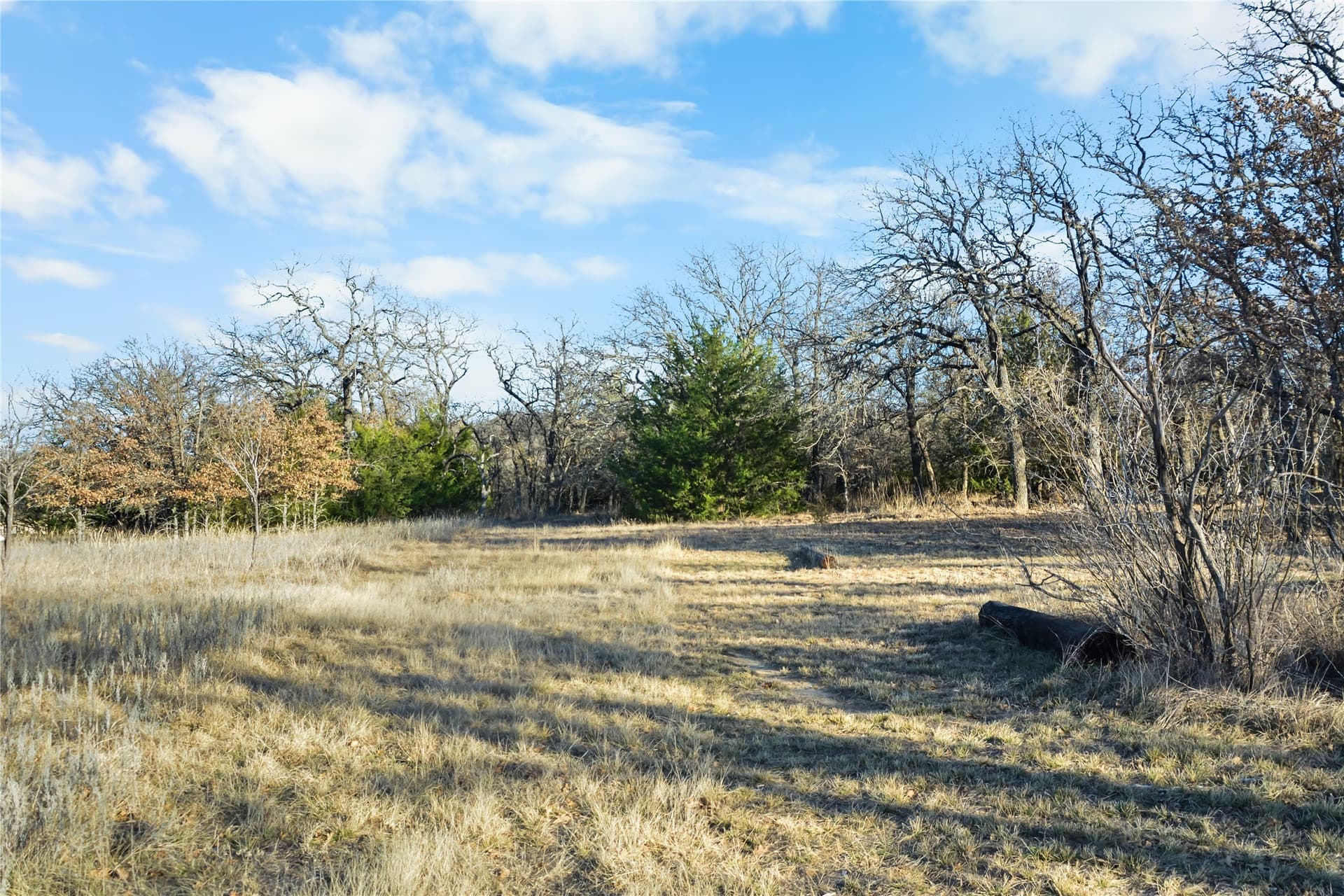 5.07 acres in Wise County