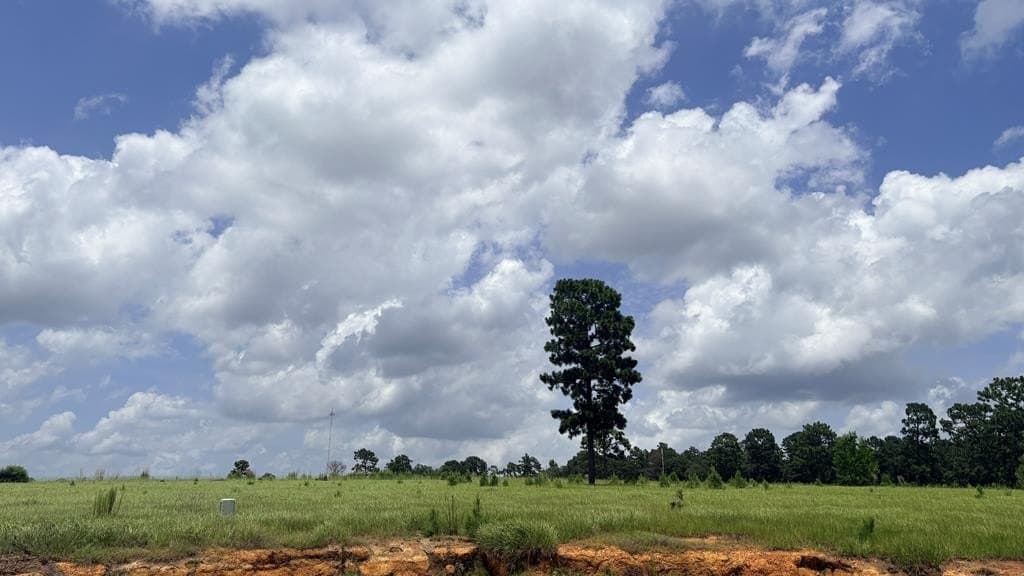 5 acres in Texas County