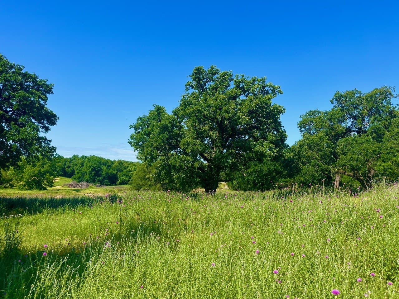 2 acres in Parker County